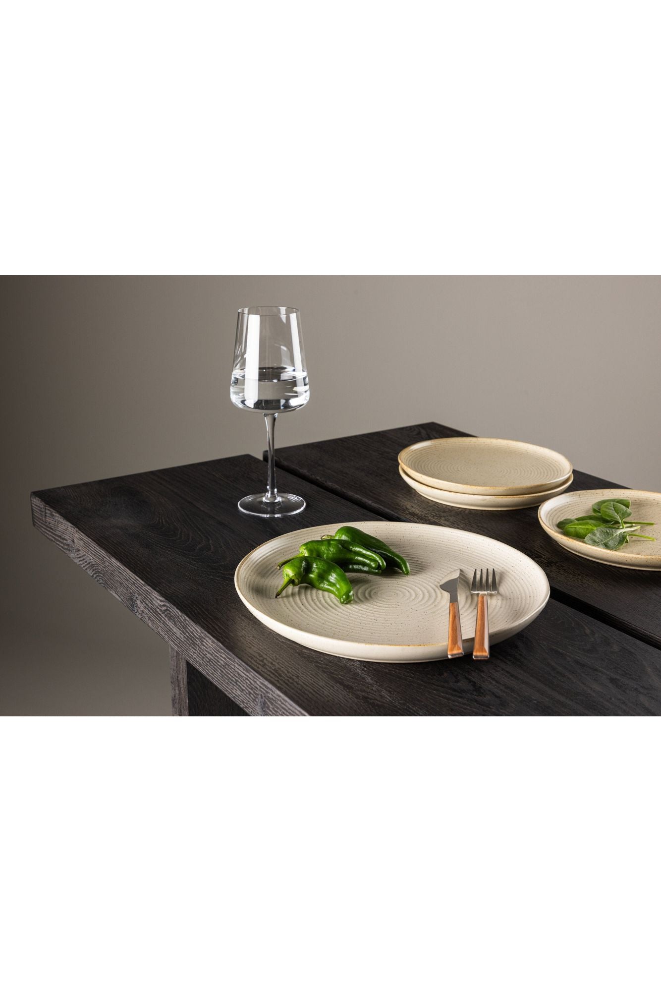 Assiette Active - Lot de 2