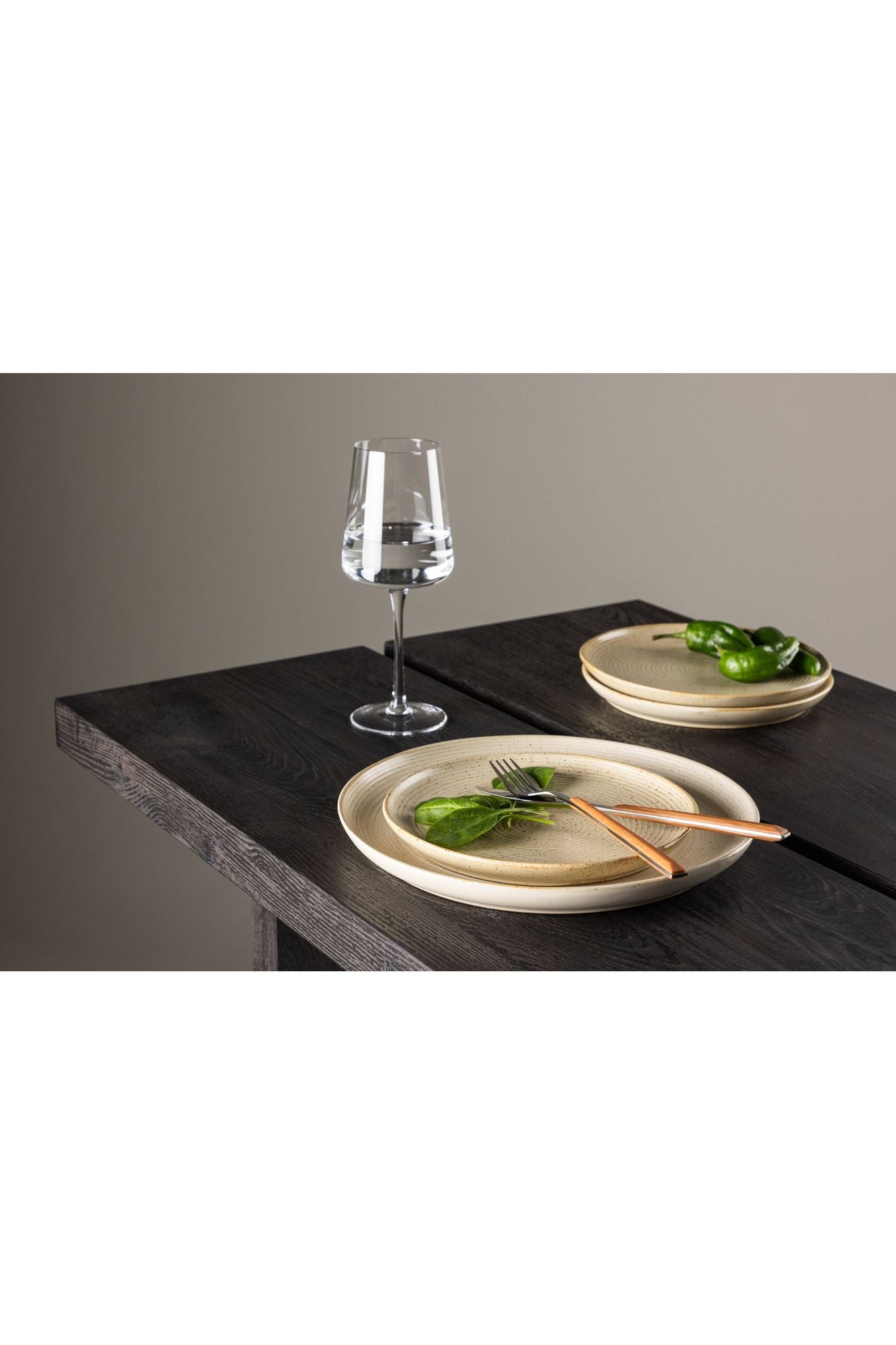 Assiette Active - Lot de 2