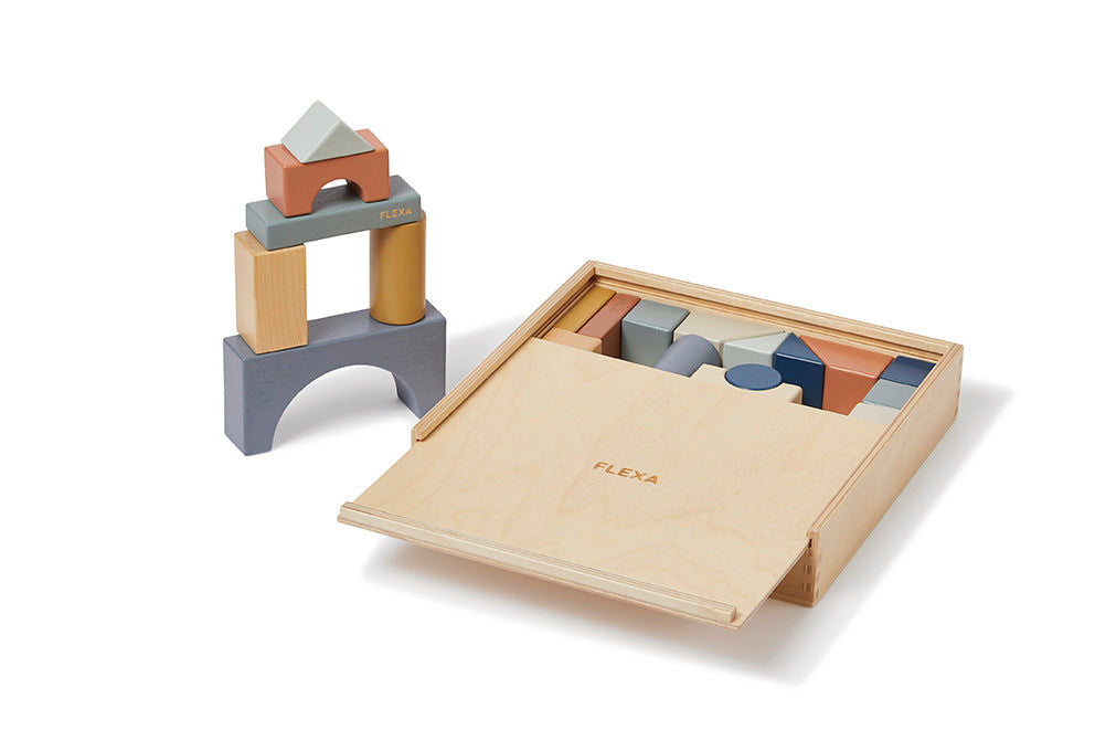 Set of Colorful Wooden Blocks